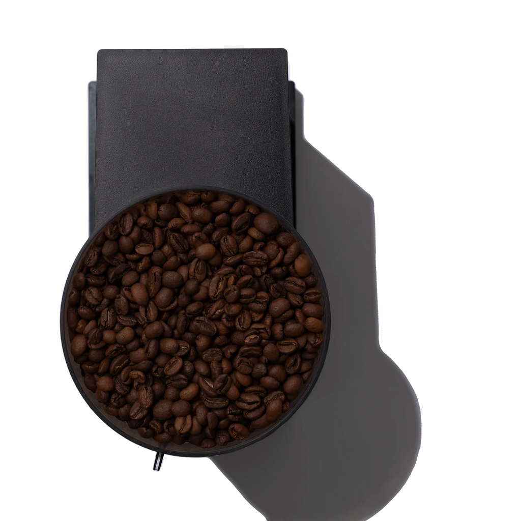 Fellow Opus Conical Burr Grinder